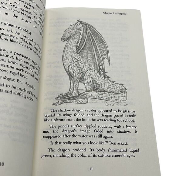 Ben and the Dragon David W. Weimer Paperback Signed Fantasy Fiction - Picture 7 of 9